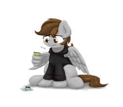 Size: 1245x1080 | Tagged: safe, artist:ljdamz1119, oc, oc:penny page, pegasus, pony, clothes, food, hoodie, ice cream, solo, text, vulgar, wing hands, wing hold, wings