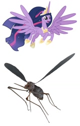 Size: 651x1026 | Tagged: safe, princess twilight 2.0, twilight sparkle, twilight sparkle (alicorn), alicorn, mosquito, pony, the last problem, bloodbug, fallout, insane troll logic, leak, only the dead can know peace from this evil, op is on drugs, seems legit, spoiler, twiggle-legs