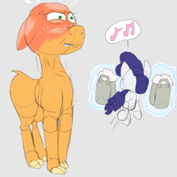 Size: 2880x2880 | Tagged: safe, artist:firefanatic, applejack, rarity, alpaca, unicorn, angry, gritted teeth, happy, magic, paper bag, pronking, red face, shaved, species swap, stealing, vein bulge, wool