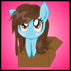 Size: 800x800 | Tagged: safe, artist:auroraswirls, oc, oc only, earth pony, pony, base used, blushing, box, earth pony oc, female, gradient background, mare, pony in a box, solo