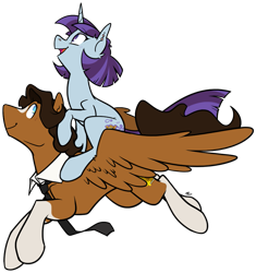 Size: 879x936 | Tagged: safe, artist:egophiliac, oc, oc only, oc:killi thaum, oc:trig silver, pegasus, pony, unicorn, blaze (coat marking), coat markings, duo, female, male, mare, simple background, socks (coat marking), stallion, transparent background