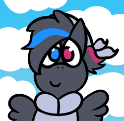 Size: 664x647 | Tagged: safe, artist:bigsneks, oc, oc only, oc:doodlegamertj, pegasus, pony, cloud, heterochromia, sky, solo