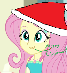 Size: 628x686 | Tagged: safe, edit, edited screencap, screencap, fluttershy, equestria girls, 1000 hours in ms paint, christmas, clothes, cropped, dress, hat, holiday, jewelry, merry christmas, necklace, open mouth, santa hat, talking, text