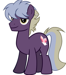 Size: 657x755 | Tagged: safe, artist:warszak, oc, oc:hope chest, earth pony, pony, male, simple background, solo, stallion, vector