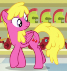 Size: 464x492 | Tagged: safe, screencap, cherry berry, pegasus, pony, a flurry of emotions, cropped, race swap, solo