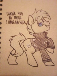 Size: 1536x2048 | Tagged: safe, artist:paperbagpony, oc, oc only, oc:rhythm, earth pony, pony, clothes, jacket, leather jacket, male, traditional art