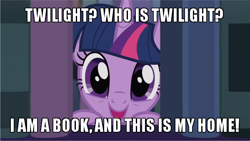 Size: 600x338 | Tagged: safe, edit, edited screencap, screencap, twilight sparkle, twilight sparkle (alicorn), alicorn, pony, amending fences, book, bookhorse, caption, cute, grin, happy, image macro, library, looking at you, meme, open mouth, peeking, smiling, solo, text, that pony sure does love books, twiabetes