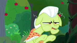 Size: 1920x1080 | Tagged: safe, screencap, granny smith, earth pony, pony, the big mac question, apple, apple tree, clothes, female, mare, scarf, solo, tree