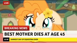 Size: 1228x684 | Tagged: safe, edit, edited screencap, screencap, pear butter, earth pony, pony, the perfect pear, boomerang (tv channel), break your own news, breaking news, crying, female, mare, sad, solo