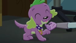 Size: 1280x720 | Tagged: safe, screencap, sci-twi, spike, spike the regular dog, twilight sparkle, dog, equestria girls, friendship games, cute, eyes closed, female, male, offscreen character, paws, spikabetes, spike's dog collar, tail