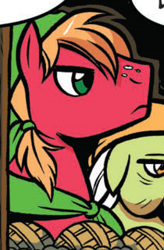 Size: 210x320 | Tagged: safe, idw, big macintosh, granny smith, spoiler:comic, spoiler:comic13, pirate