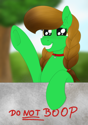 Size: 1955x2755 | Tagged: safe, artist:dyonys, derpibooru exclusive, oc, oc:lucky brush, earth pony, pony, big eyes, big pupils, boop, braid, collar, dog tags, female, freckles, mare, raised hoof, smiling, text, wall