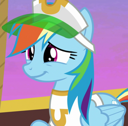 Size: 1100x1080 | Tagged: safe, screencap, pony, grannies gone wild, cropped, solo