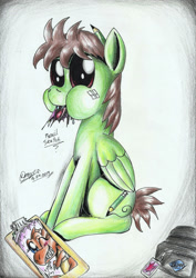 Size: 1653x2329 | Tagged: safe, artist:3500joel, oc, oc:pencil sketch, pegasus, pony, clipboard, male, solo, stallion, traditional art