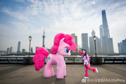 Size: 1024x683 | Tagged: safe, derpibooru import, pinkie pie, rarity, human, china, irl, irl human, official, photo, plushie, shanghai