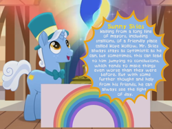 Size: 748x560 | Tagged: safe, sunny skies, pony, rainbow roadtrip, profile, rainbow generator