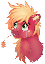 Size: 553x775 | Tagged: safe, artist:prince-lionel, big macintosh, earth pony, pony, bust, crying, ear fluff, facial hair, freckles, looking up, male, neck fluff, smiling, solo, stallion, straw in mouth, tears of joy