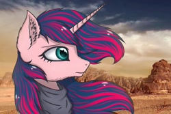 Size: 1500x1000 | Tagged: safe, artist:aselita selter, oc, oc:aselita selter, pony, bust, desert, portrait, solo