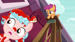 Size: 1280x720 | Tagged: safe, screencap, cozy glow, scootaloo, pegasus, pony, marks for effort, not blood, out of context, paint