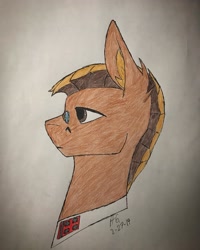 Size: 2785x3481 | Tagged: safe, artist:biergarten13, pony, fallout equestria, royal equestrian army, solo, traditional art