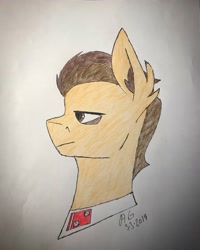 Size: 2698x3372 | Tagged: safe, artist:biergarten13, pony, fallout equestria, royal equestrian army, solo, traditional art