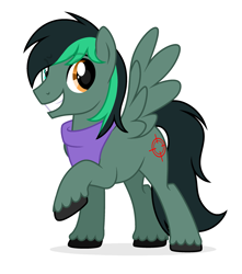 Size: 2459x2779 | Tagged: safe, artist:lazuli, artist:rioshi, artist:starshade, oc, oc only, oc:target strike, pegasus, pony, heterochromia, male, simple background, solo, stallion, white background