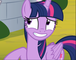 Size: 1191x939 | Tagged: safe, screencap, twilight sparkle, twilight sparkle (alicorn), alicorn, pony, sparkle's seven, adorkable, cropped, cute, dork, grin, looking up, nervous, nervous grin, raised hoof, smiling, solo, teeth, twiabetes