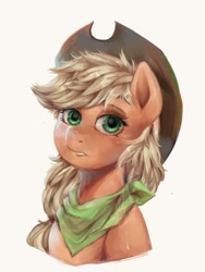 Size: 860x1142 | Tagged: safe, artist:riukime, derpibooru import, applejack, earth pony, pony, bandana, bust, female, looking at you, mare, portrait, simple background, solo, white background