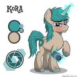 Size: 1500x1500 | Tagged: safe, artist:korafuro, oc, oc:kora, horse, pony, unicorn, camera, cute, cutie mark, magic, reference sheet, solo, unshorn fetlocks