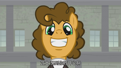 Size: 1920x1080 | Tagged: safe, screencap, cheese sandwich, pony, the last laugh, chinese, leak, mask, sans smirk, subtitles