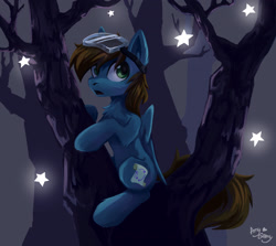 Size: 2800x2500 | Tagged: safe, artist:amy-gamy, oc, oc:blue scroll, pegasus, pony, goggles, male, night, stars, tree