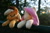 Size: 3888x2592 | Tagged: safe, artist:bastler, derpibooru exclusive, derpibooru import, applejack, fluttershy, earth pony, pegasus, pony, female, irl, mare, photo, plushie, sleeping