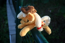 Size: 3888x2592 | Tagged: safe, artist:bastler, derpibooru import, applejack, earth pony, pony, female, irl, mare, photo, plushie, sleeping