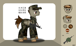 Size: 1465x900 | Tagged: safe, artist:99999999000, oc, oc:li zhenghan, pony, ar15, assault rifle, camouflage, chinese, clothes, gun, male, reference sheet, rifle, soldier, solo, t-91, taiwan, weapon