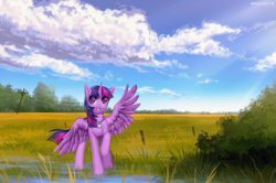 Size: 1503x1000 | Tagged: safe, artist:margony, twilight sparkle, twilight sparkle (alicorn), alicorn, pony, female, jewelry, looking at you, necklace, outdoors, power line, scenery, ych result