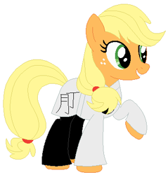 Size: 378x395 | Tagged: safe, artist:hubfanlover678, artist:selenaede, derpibooru import, applejack, earth pony, pony, base used, black trousers, clothes, female, freckles, hatless, kanji, karate, mare, martial arts, missing accessory, pants, raised hoof, robe, simple background, solo, white background, white belt