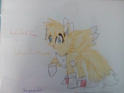 Size: 1032x774 | Tagged: safe, artist:mrbrosclassy, pegasus, pony, miles "tails" prower, ponified, request, sonic the hedgehog (series), traditional art