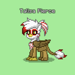 Size: 829x825 | Tagged: safe, oc, oc only, oc:talisa pierce, griffon, pony, pony town, simple background, solo