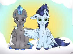 Size: 1080x802 | Tagged: safe, artist:monsoonvisionz, soarin', oc, oc:cobalt rush, pegasus, pony, duo, duo male, male, stallion