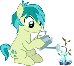 Size: 3349x3000 | Tagged: safe, artist:cloudyglow, sandbar, earth pony, pony, uprooted, .ai available, cute, male, sandabetes, sapling, simple background, solo, transparent background, vector, watering can