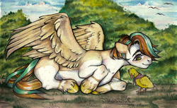 Size: 2235x1364 | Tagged: safe, artist:nikameowbb, oc, duck, pegasus, pony, advertisement, colored, commission, commission info, cute, digital art, full body, lineart, lined paper, male, nature, paper, pencil, pencil drawing, scenery, solo, traditional art, water, watercolor painting