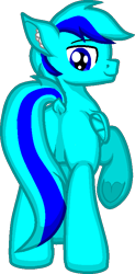 Size: 393x796 | Tagged: safe, artist:zeka10000, oc, oc only, oc:sky gamer, pony, blank flank, butt, dock, ear fluff, full body, looking back, male, plot, request, requested art, simple background, smiling, solo, stallion, standing, transparent background