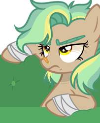 Size: 600x738 | Tagged: safe, artist:thesmall-artist, oc, oc:golden daze, pegasus, pony, base used, female, mare, simple background, solo