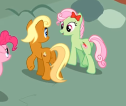 Size: 345x292 | Tagged: safe, derpibooru import, screencap, apple cobbler, florina tart, pinkie pie, earth pony, pony, pinkie pride, apple family member, background pony, bow, cropped, duo focus, female, hair bow, looking at each other, mare, walking