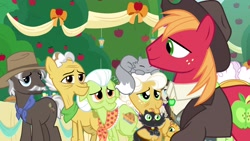 Size: 1920x1080 | Tagged: safe, screencap, big macintosh, burnt oak, goldie delicious, grand pear, granny smith, cat, pony, the big mac question, apple, apple tree, clothes, hat, suit, tree