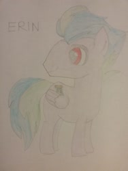 Size: 1944x2592 | Tagged: safe, artist:jerryakiraclassics19, oc, oc only, oc:erin, pegasus, pony, male, traditional art