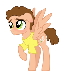Size: 888x1015 | Tagged: safe, artist:unoriginai, pegasus, pony, crossover, cute, male, morty smith, ponified, rick and morty, teenager