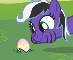 Size: 816x665 | Tagged: safe, artist:lightning stripe, derpibooru exclusive, edit, oc, oc only, oc:lightning stripe, earth pony, pony, black and white mane, easter, easter egg, egg, eyelashes, grass, grass field, green eyes, holiday, makeup, puffy cheeks, scrunchy face, show accurate, simple background, solo, stripes