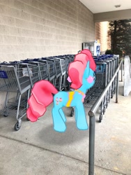 Size: 3024x4032 | Tagged: safe, photographer:undeadponysoldier, cup cake, earth pony, pony, augmented reality, female, gameloft, irl, mare, photo, ponies in real life, shopping cart, solo