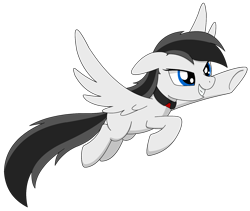 Size: 1749x1479 | Tagged: safe, artist:lonebigcity, oc, oc:mirny angara, pegasus, pony, collar, female, flying, simple background, solo, transparent background